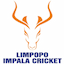 Limpopo flag